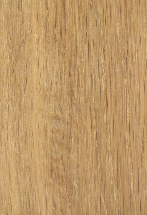 ÕLIVAHA Saicos DUO GROUND COAT Eco valge