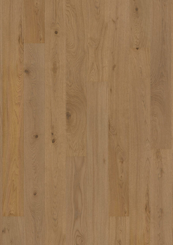 9a9504f53a3956c09c698957398157e89778c526 GRD 10152606 FDG8K4FD Oak Medium Grey plank 138