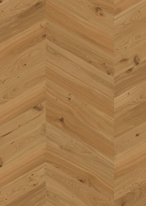 bc73a41a9a012bd306ad576926520dfca92d5476 GRD 10139207 EB484KCD Oak Animoso Chevron