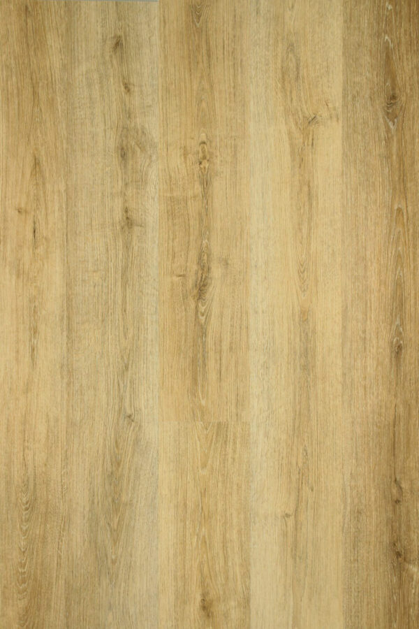 LVT CLICK SPC 1-lipiline tamm Tundra 3111 Winclic