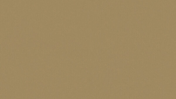 LINOLEUM Lino Materiale 032 Kraft