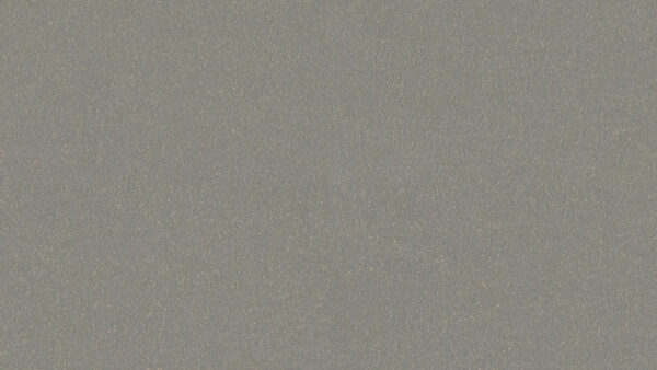 LINOLEUM Lino Materiale 003 Silver