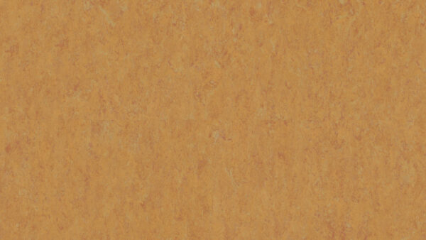 LINOLEUM Veneto XF² Amber 636